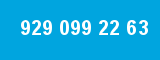 929 099 22 63